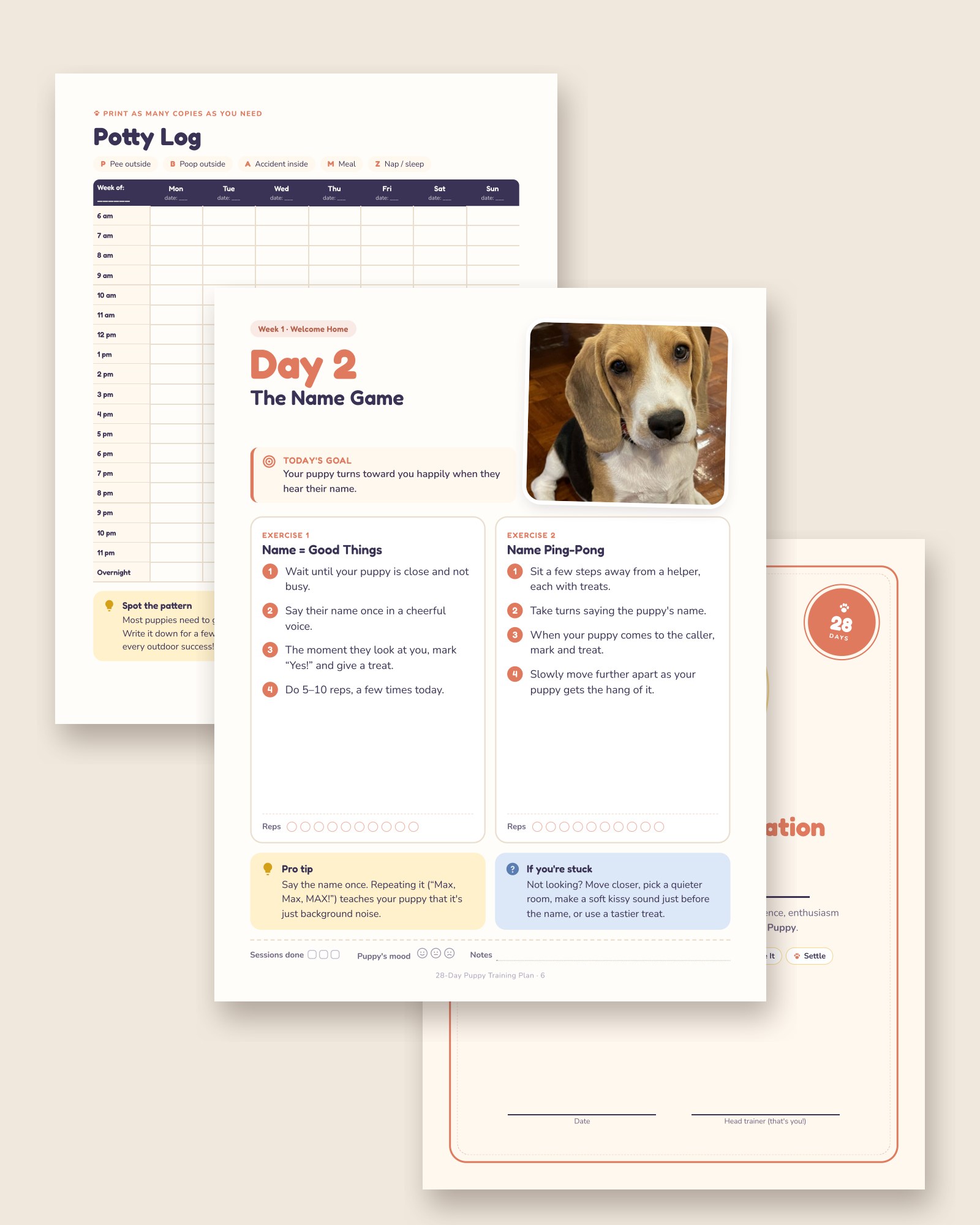 Inside pages: a daily lesson, the potty log and the graduation certificate